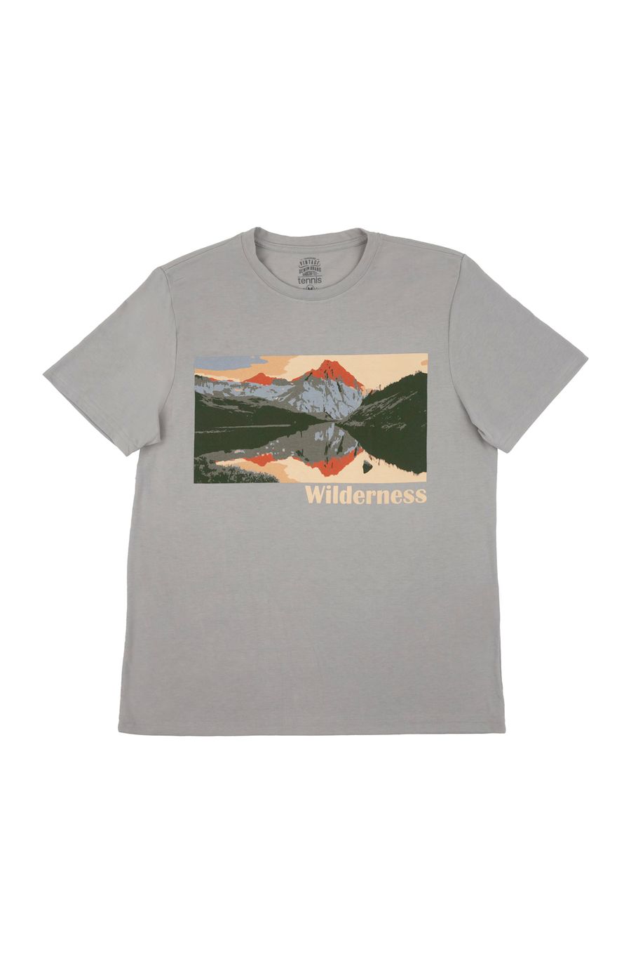 Camiseta gris estampada para hombre