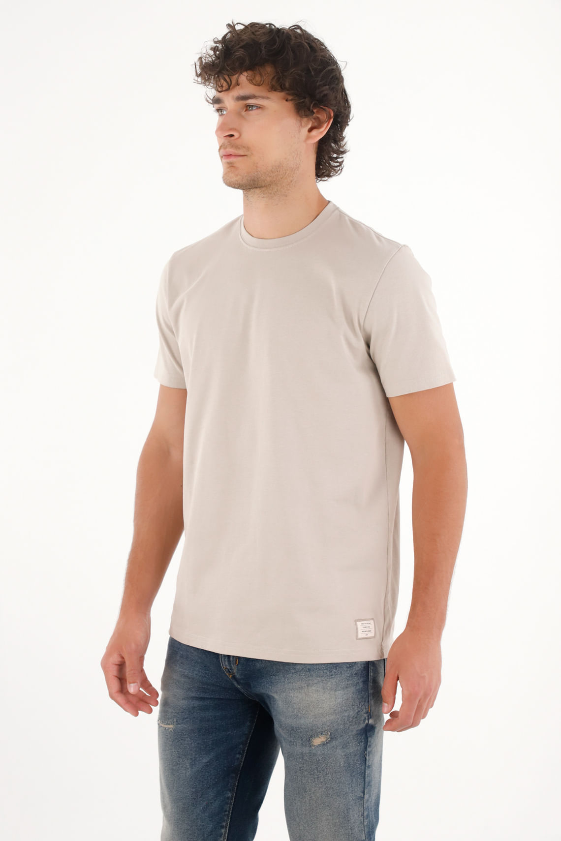 Camiseta en 100% algodón gris para hombre